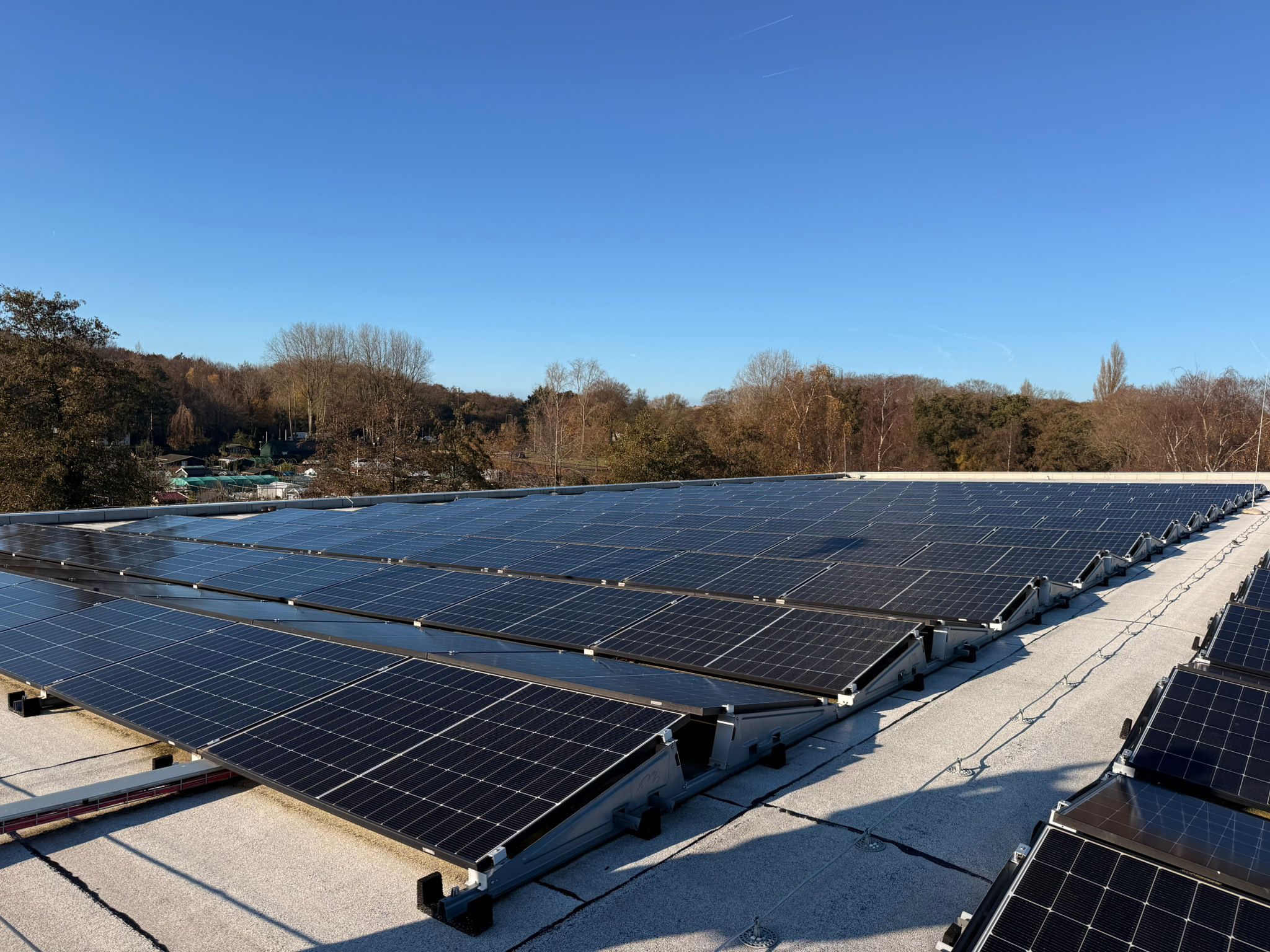 WhatsApp Image 2025-11-27 at 16.08.23 (1)