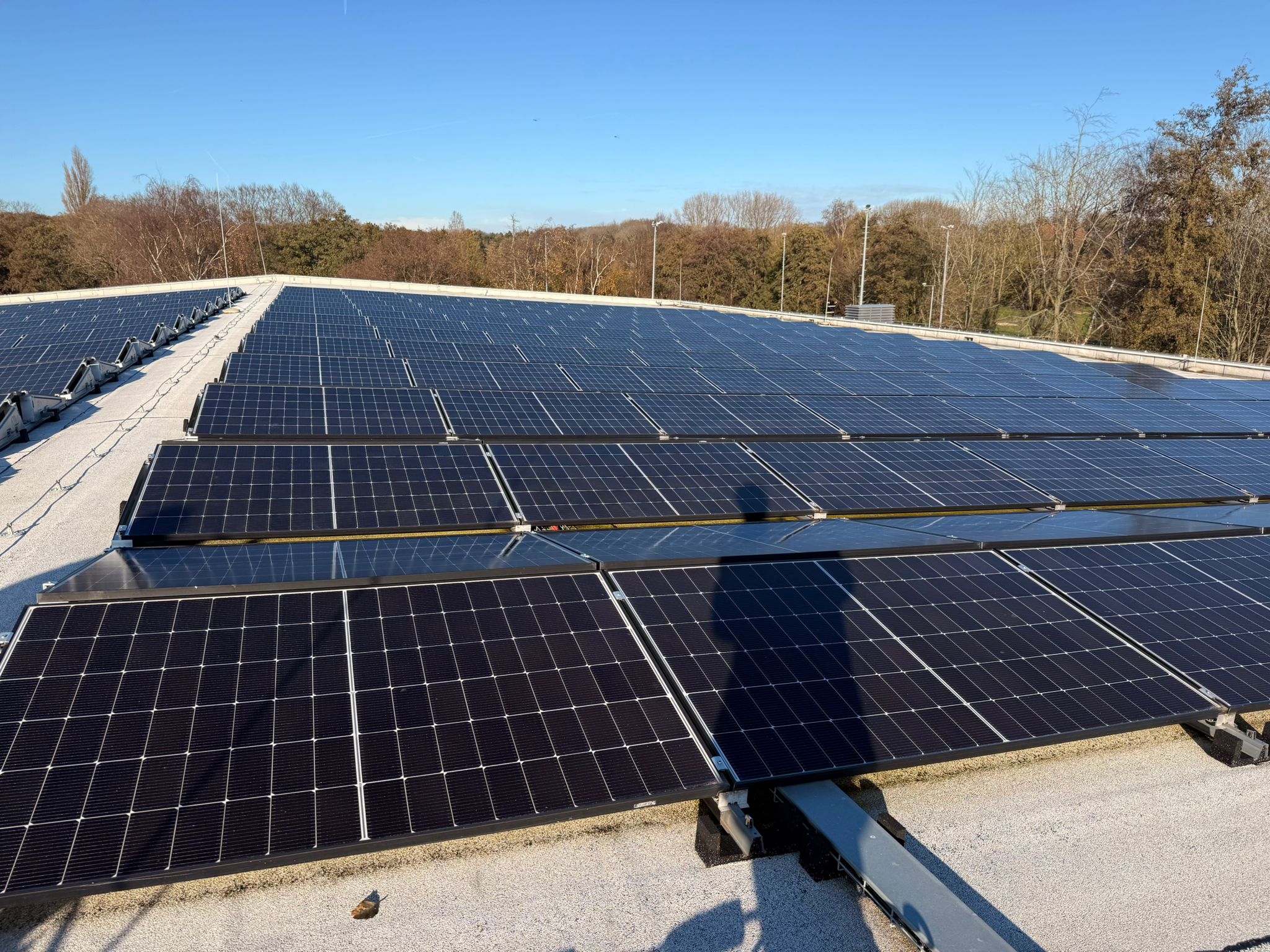 WhatsApp Image 2025-11-27 at 16.08.23 (2)